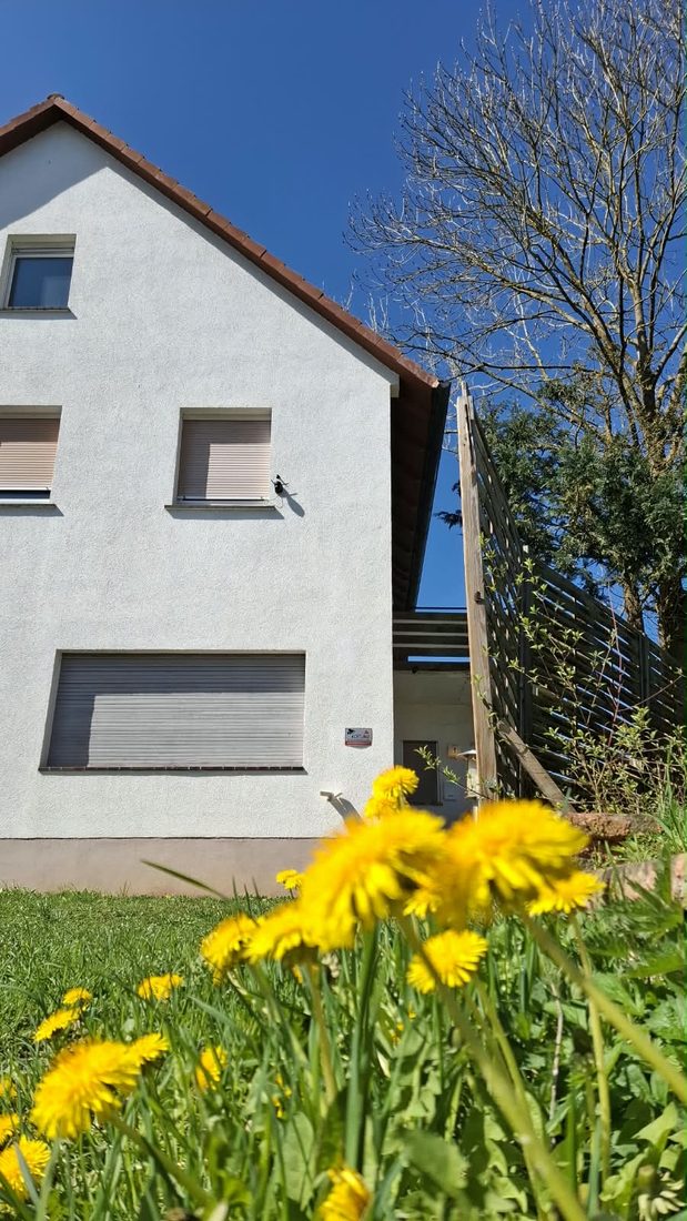 Weißes Wohnhaus mit Garten und Löwenzahn unter blauem Himmel